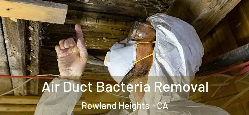  Air Duct Bacteria Removal Rowland Heights - CA