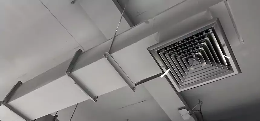 Our Rodent Droppings In Vents Services in Rowland Heights, CA