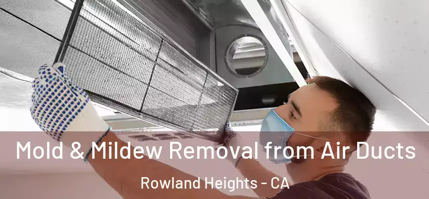  Mold & Mildew Removal from Air Ducts Rowland Heights - CA