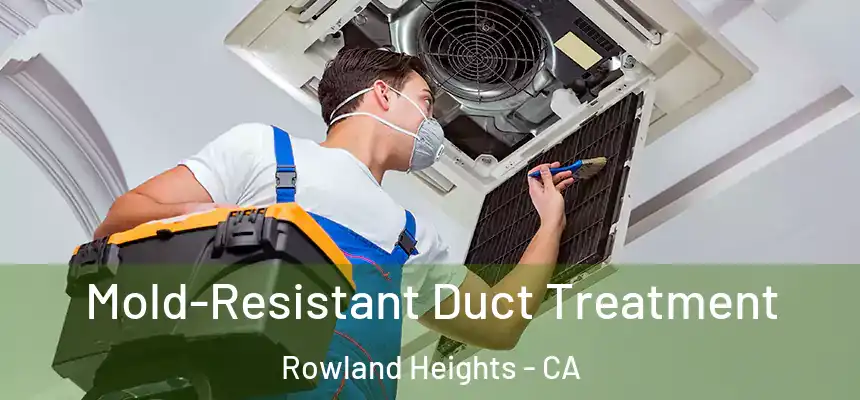  Mold-Resistant Duct Treatment Rowland Heights - CA