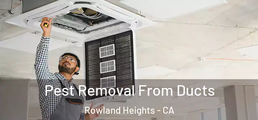 Pest Removal From Ducts Rowland Heights - CA