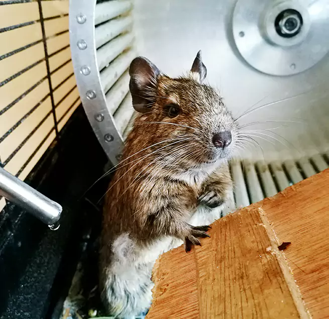 Why Homeowners & Businesses Trust Us Rowland Heights, CA